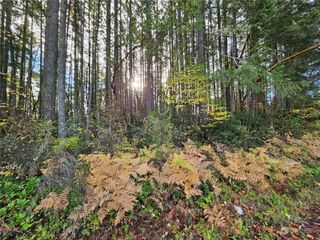 0 NE Larson Lake Road, Belfair, WA 98528