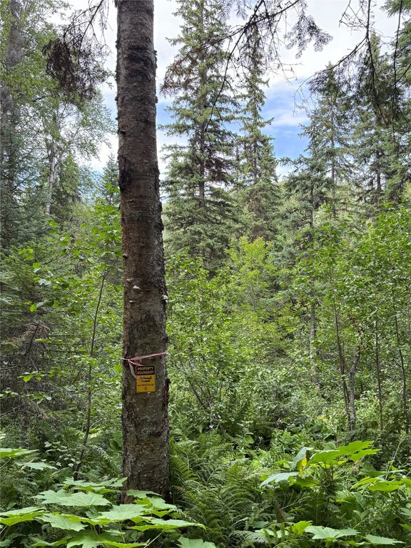 88 Abbey Road, Whitefish, MT 59937 photo 11