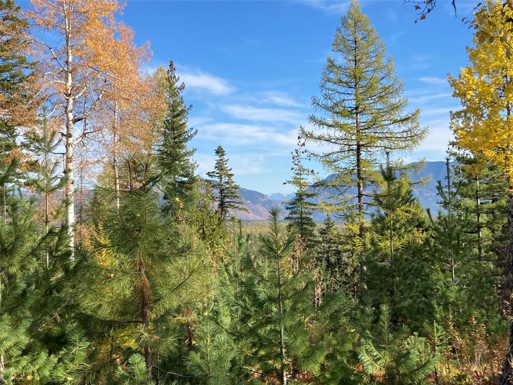 88 Abbey Road, Whitefish, MT 59937 photo 14