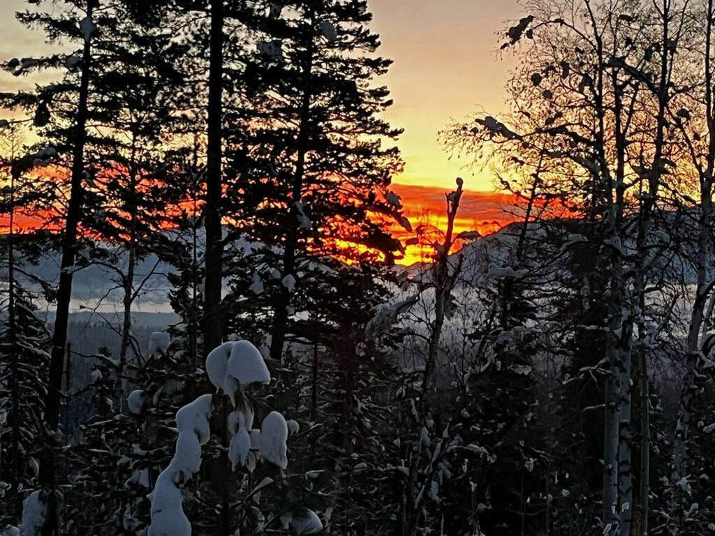 88 Abbey Road, Whitefish, MT 59937 photo 20