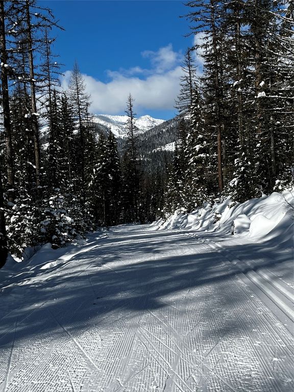 88 Abbey Road, Whitefish, MT 59937 photo 21