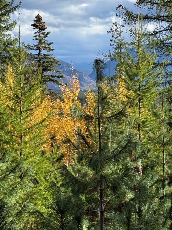 88 Abbey Road, Whitefish, MT 59937 photo 28