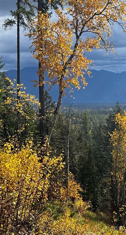 88 Abbey Road, Whitefish, MT 59937 photo 4