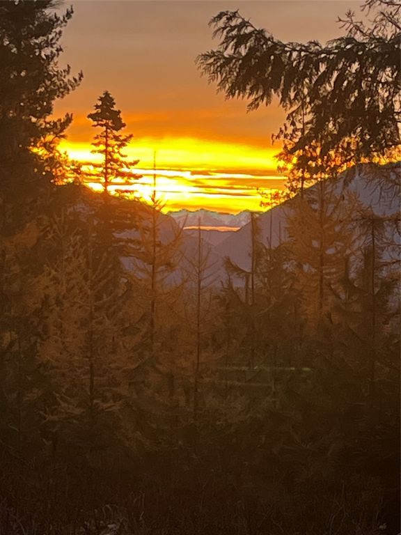 88 Abbey Road, Whitefish, MT 59937 photo 5