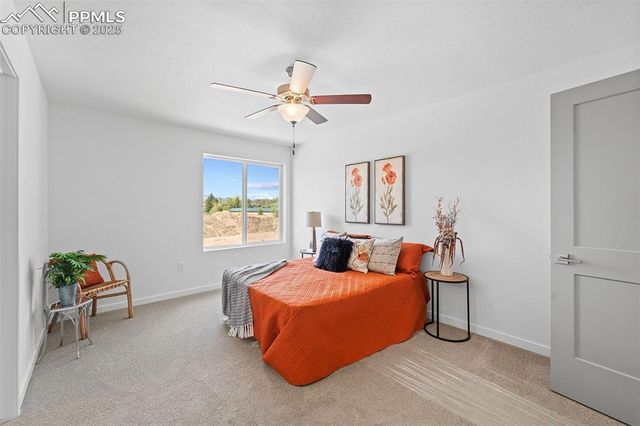 3555 Rosette Grove, Colorado Springs, CO 80910