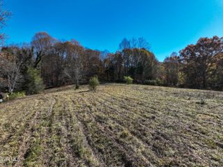 297 Bluff Road, Blountville, TN 37617