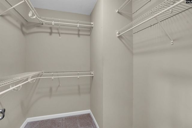 152 Canal Place Circle, Columbia, SC 29201