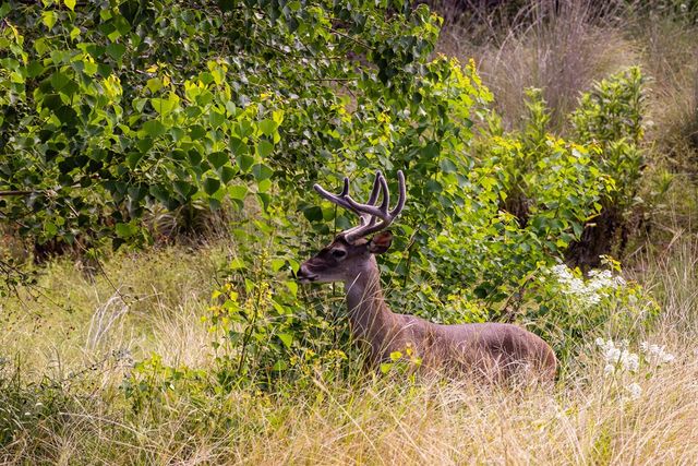 193 Doris Dr, Kerrville, TX 78028