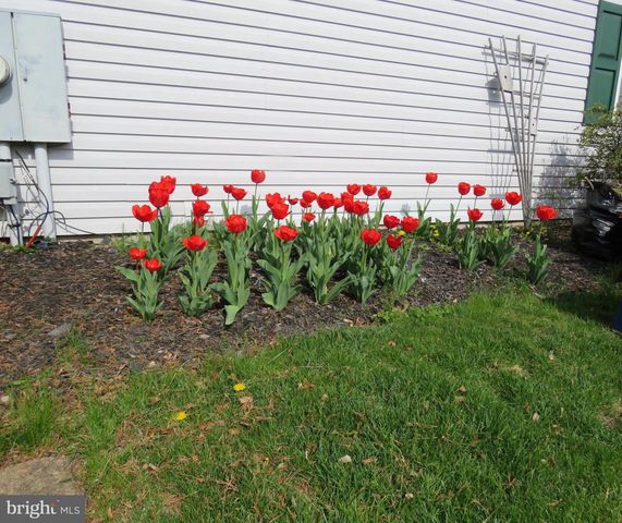 505 GOLDENROD XING W, New Hope, PA 18938