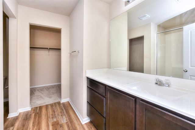 14513 Callan CT, Manor, TX 78653