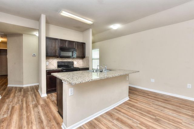 14513 Callan CT, Manor, TX 78653