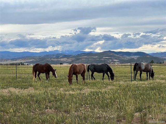 612 W County Road 74, Wellington, CO 80549
