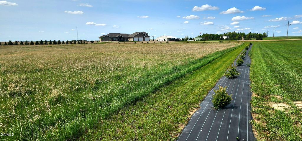 7079 Highway 8, Mott, ND 58646 photo 134