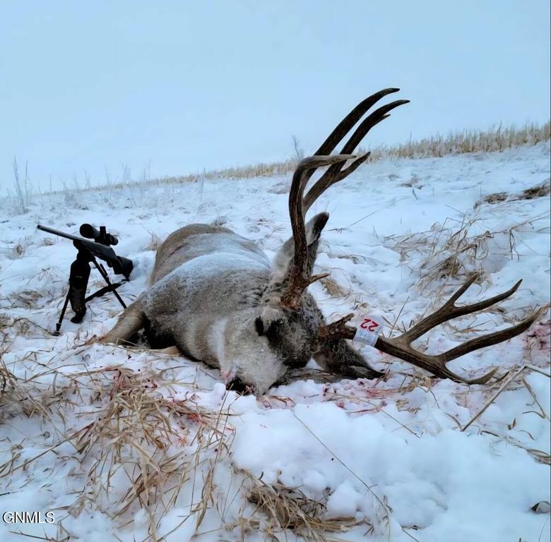 7079 Highway 8, Mott, ND 58646 photo 135