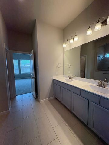 29406 Amber Pine Court, Katy, TX 77494