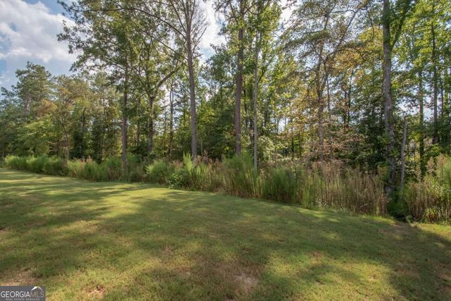 54 Airmont Drive, Sharpsburg, GA 30277