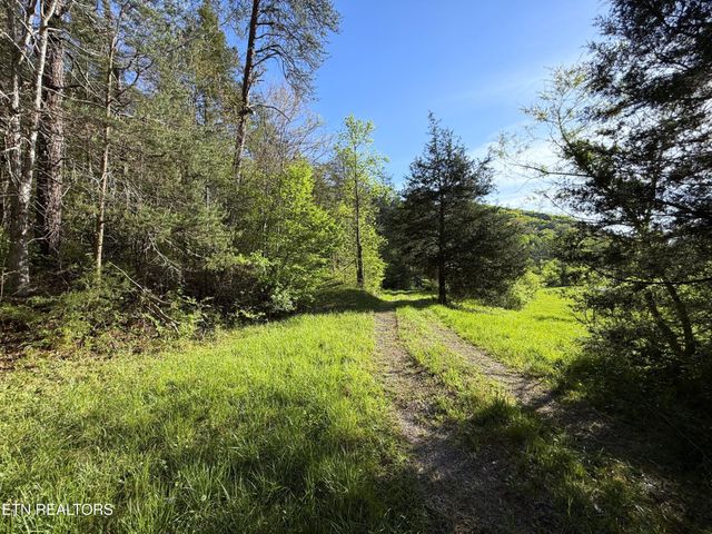 2930 Arch Way, Cosby, TN 37722