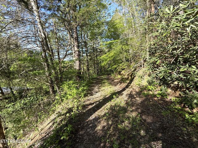 2930 Arch Way, Cosby, TN 37722