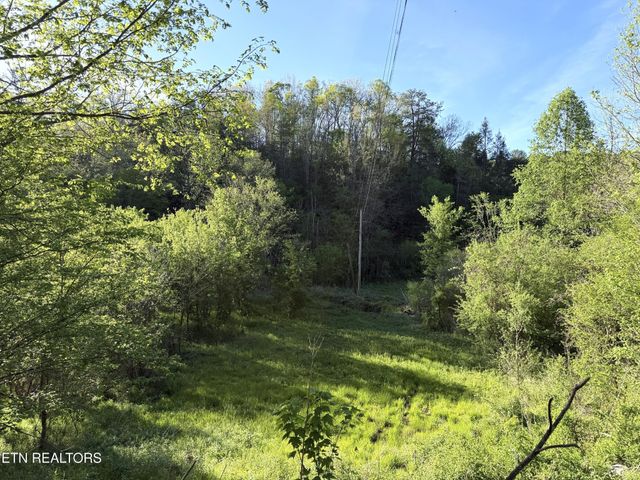 2930 Arch Way, Cosby, TN 37722