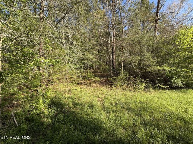 2930 Arch Way, Cosby, TN 37722