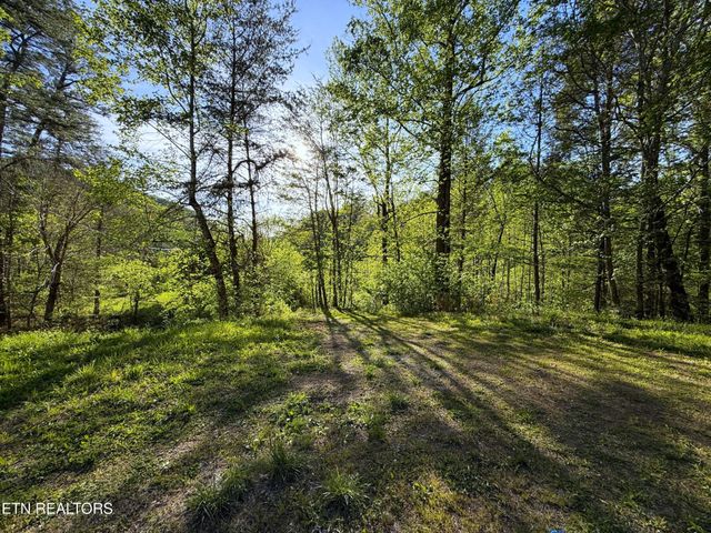 2930 Arch Way, Cosby, TN 37722