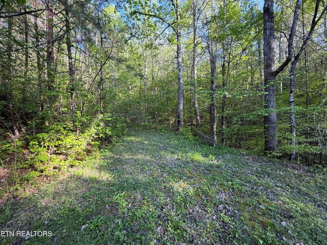 2930 Arch Way, Cosby, TN 37722