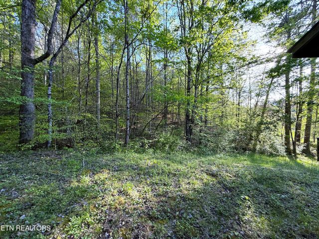 2930 Arch Way, Cosby, TN 37722