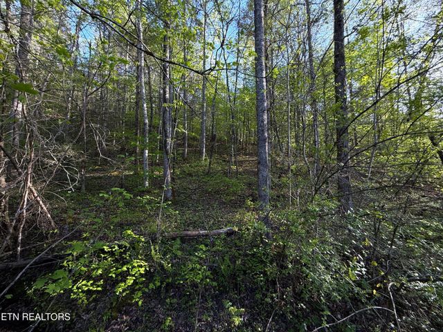 2930 Arch Way, Cosby, TN 37722