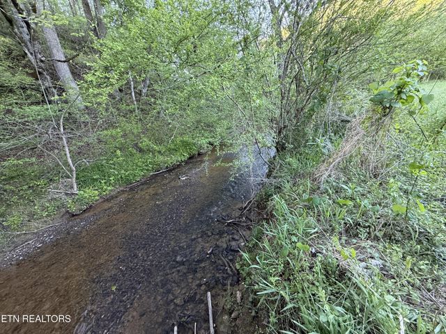 2930 Arch Way, Cosby, TN 37722