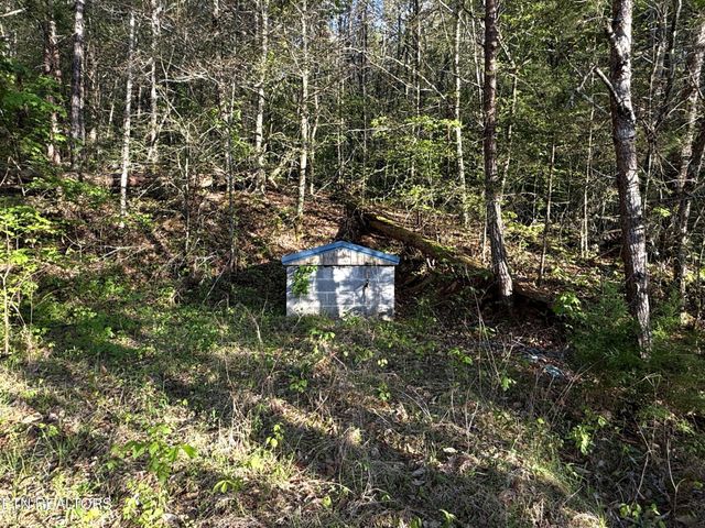 2930 Arch Way, Cosby, TN 37722