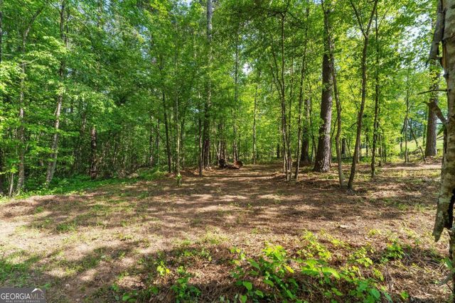 60 Sunflower Drive, Newnan, GA 30263