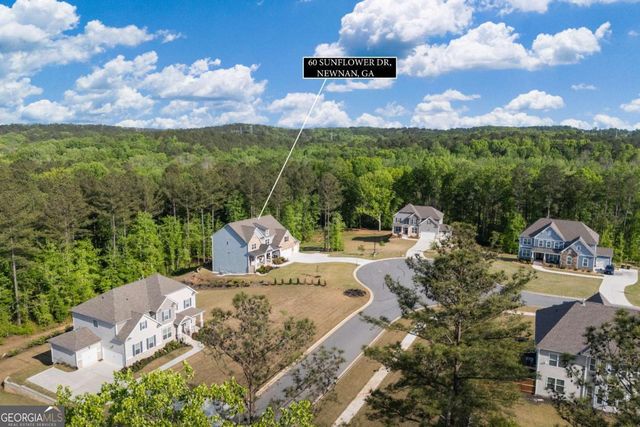 60 Sunflower Drive, Newnan, GA 30263