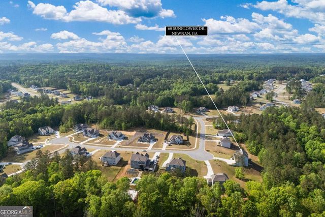 60 Sunflower Drive, Newnan, GA 30263