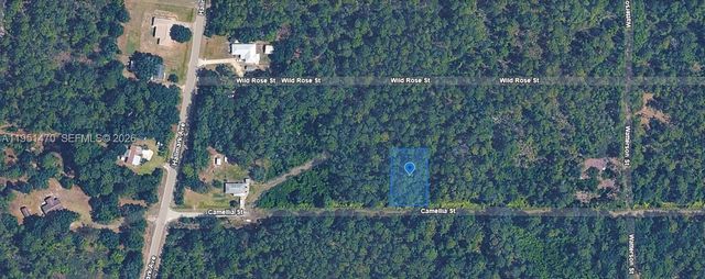 1412 Camellia Street, Lake Placid, FL 33852