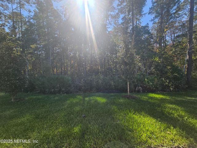 301 DALTON MILL Drive, St. Johns, FL 32259