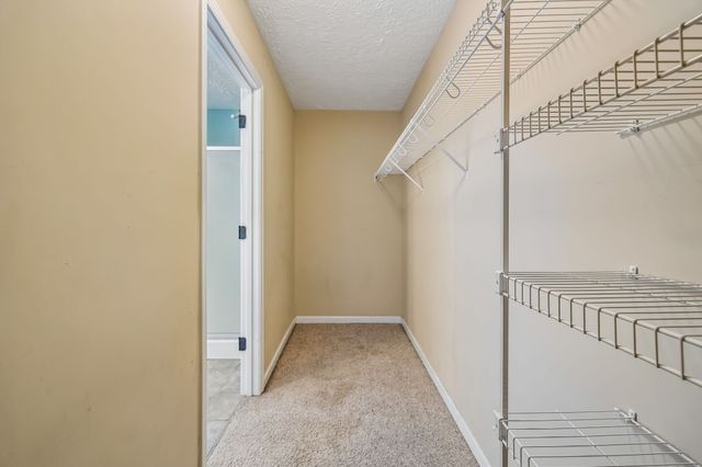 1372 Constitution Dr, Clarksville, TN 37042