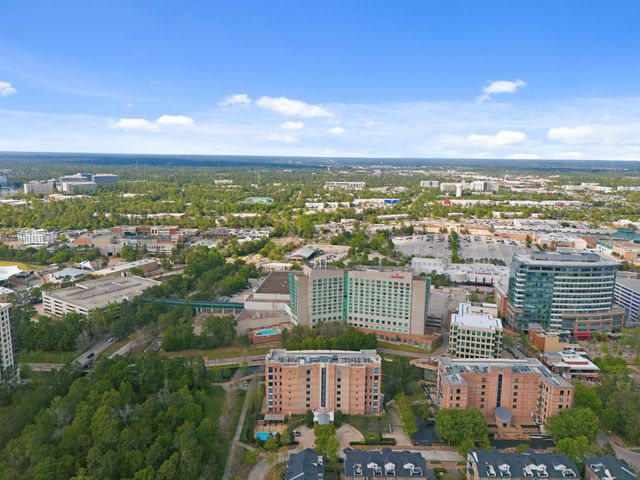 3 Waterway Court 1B, The Woodlands, TX 77380