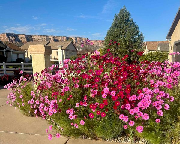 2102 Vivian Court, Grand Junction, CO 81507