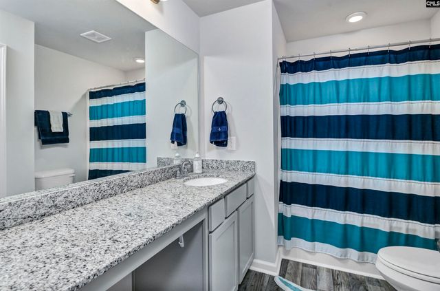 174 Belfast Way, Lexington, SC 29073