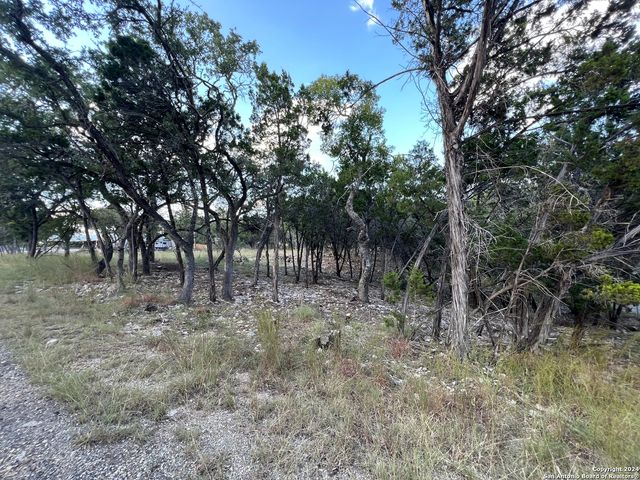381 RINGTAIL, Canyon Lake, TX 78133