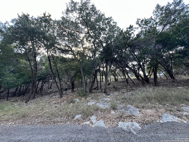 381 RINGTAIL, Canyon Lake, TX 78133