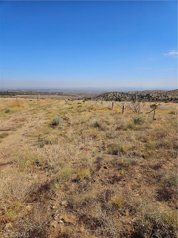 118 E Avenue S, Juniper Hills, CA 93543