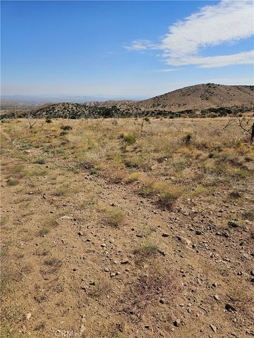 118 E Avenue S, Juniper Hills, CA 93543