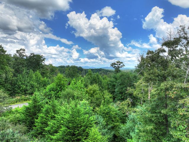 78 Longview Lane, Blue Ridge, GA 30513