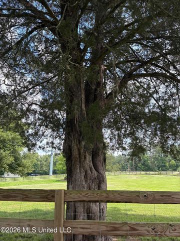 5988 Henderson Road, Pearl, MS 39208