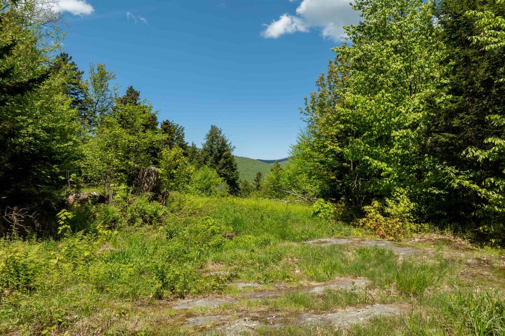 0 Turtle Hill Road Lot #2, Ludlow, VT 05149