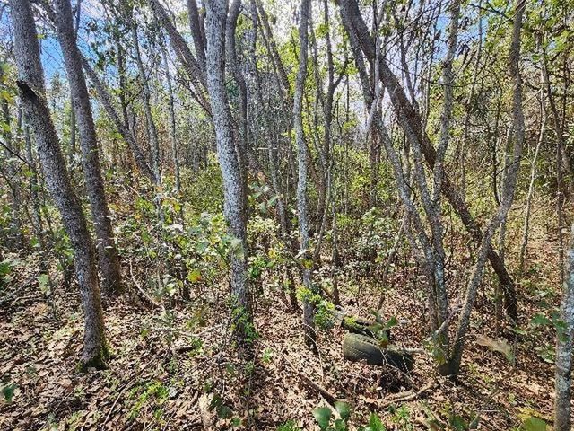 0 Hurricane Boulevard, Irvington, AL 36544