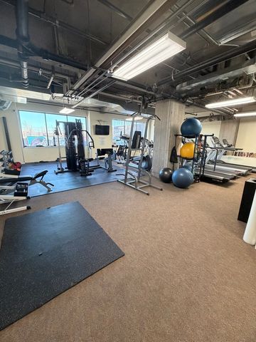 1550 S Blue Island Avenue 1107, Chicago, IL 60608