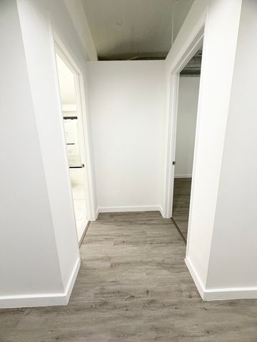 1550 S Blue Island Avenue 1107, Chicago, IL 60608