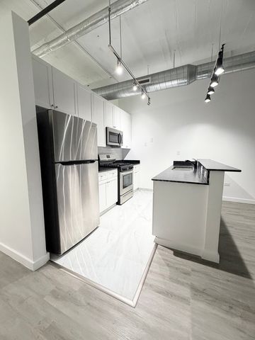 1550 S Blue Island Avenue 1107, Chicago, IL 60608